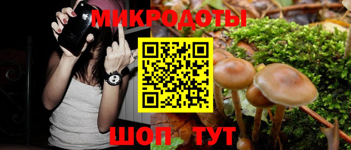 Псилоцибиновые грибы Psilocybe Сергиев Посад
